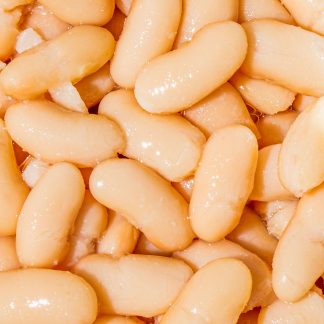 haricots blancs - petite conserve